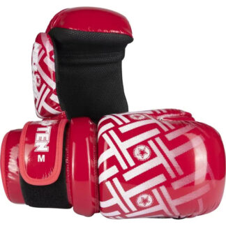 TOP TEN Pointfighter “Glossy Block Prism” Gloves